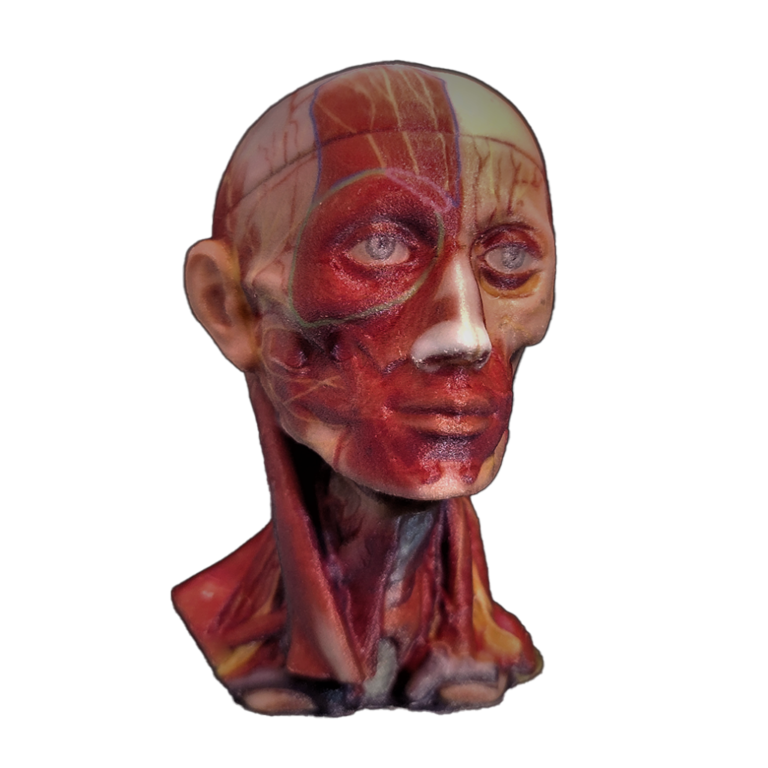 Head-Hero-1024x1024-1.png